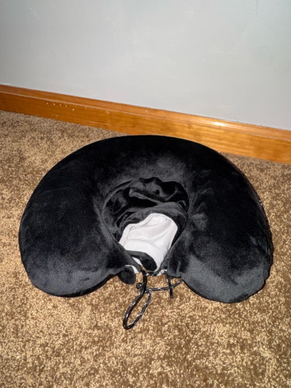 Sealy Neck Pillow